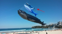 australiafb-9