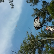 20140504_143533